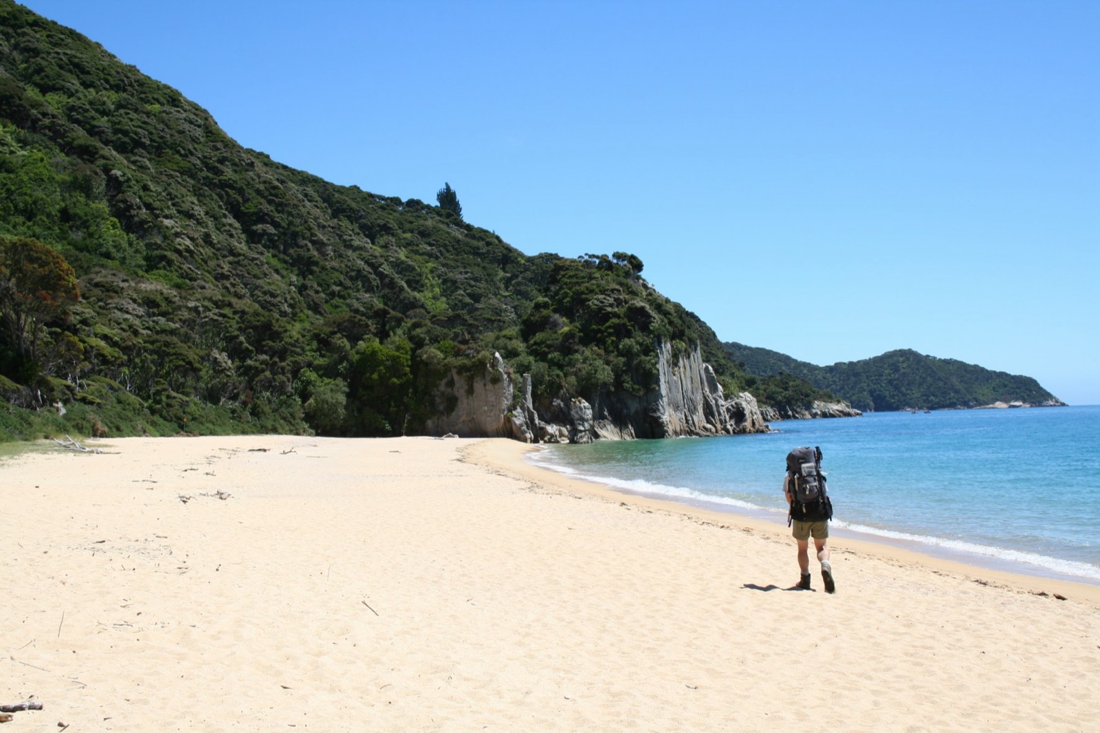 A tramper with a large pack walking along an empty golden beach below bush-covered hills
