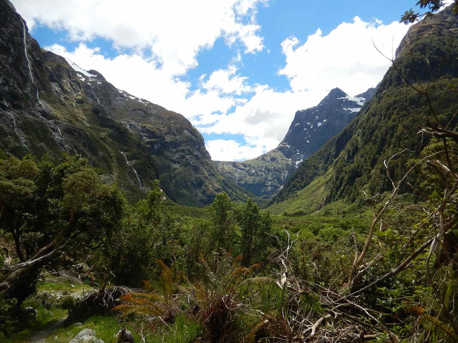 The Clinton valley narrowing towards McKinnon Pass between steep forested mountains