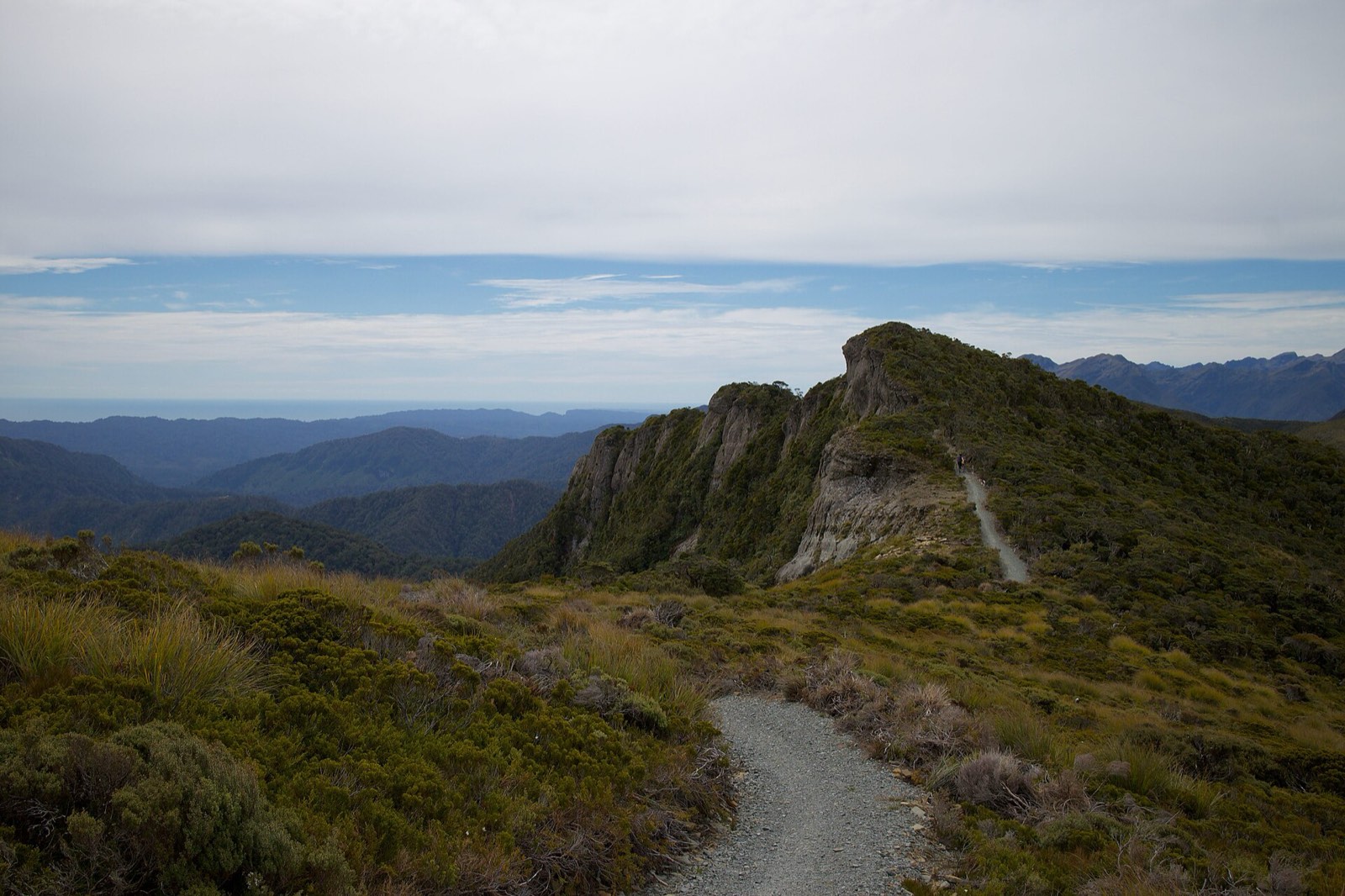 A gravel track winding along a tussock ridge towards a rocky bluff, with forested ranges and the sea behind