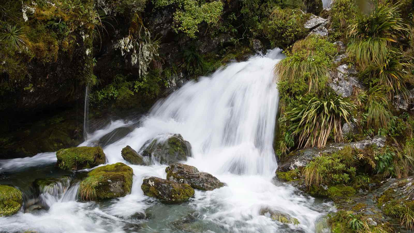 A waterfall tumbling over mossy boulders in the forest